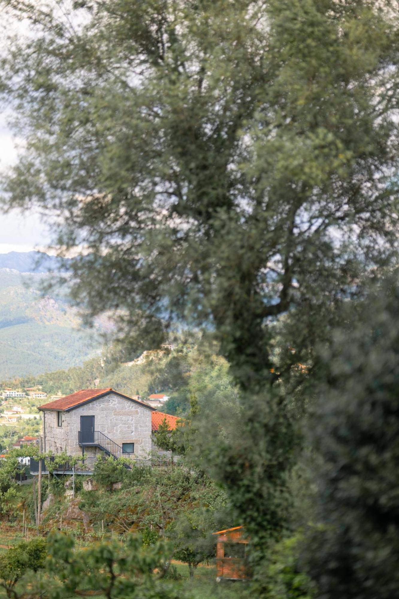 Quinta De Calvelos ヴィエイラ・ド・ミーニョ エクステリア 写真