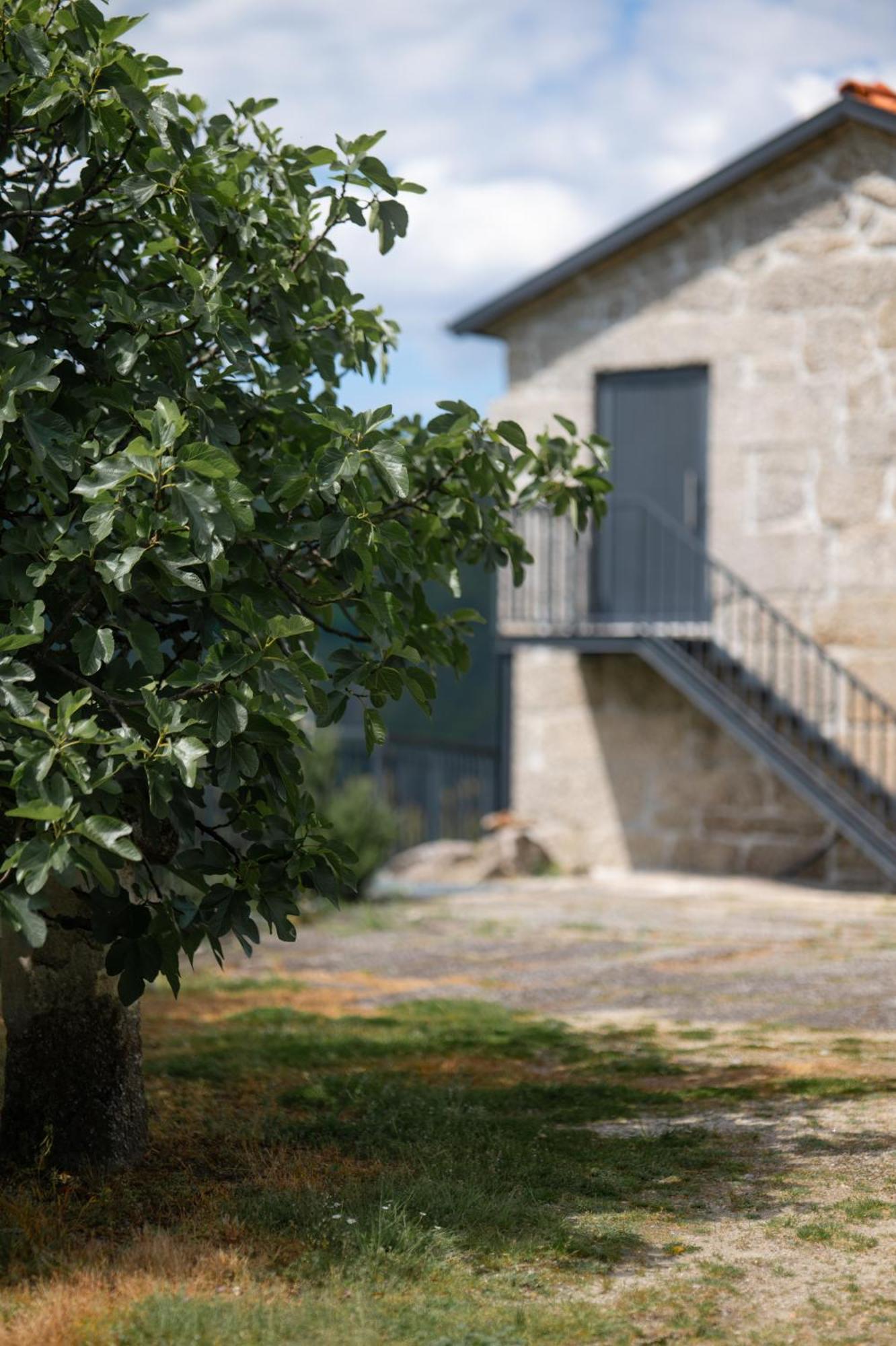 Quinta De Calvelos ヴィエイラ・ド・ミーニョ エクステリア 写真